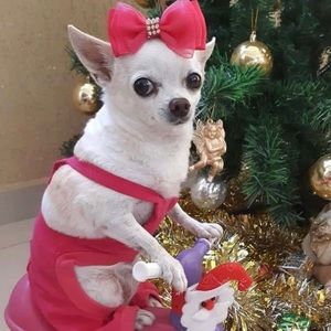 Meet your Posher, Camille